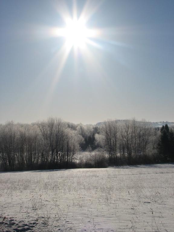 frosty_sun2