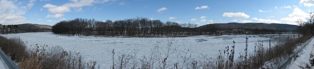 barton_ice_susquehanna_jan232011_02.jpg