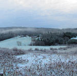 Snowy morning November 13, 2012