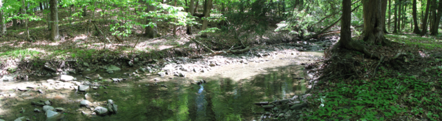 creek_walk001_may132012