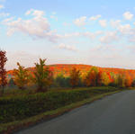 fall_leaves_hill_oct052012